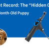 Patient Record: The “Hidden Crisis” of a 4-Month-Old Puppy