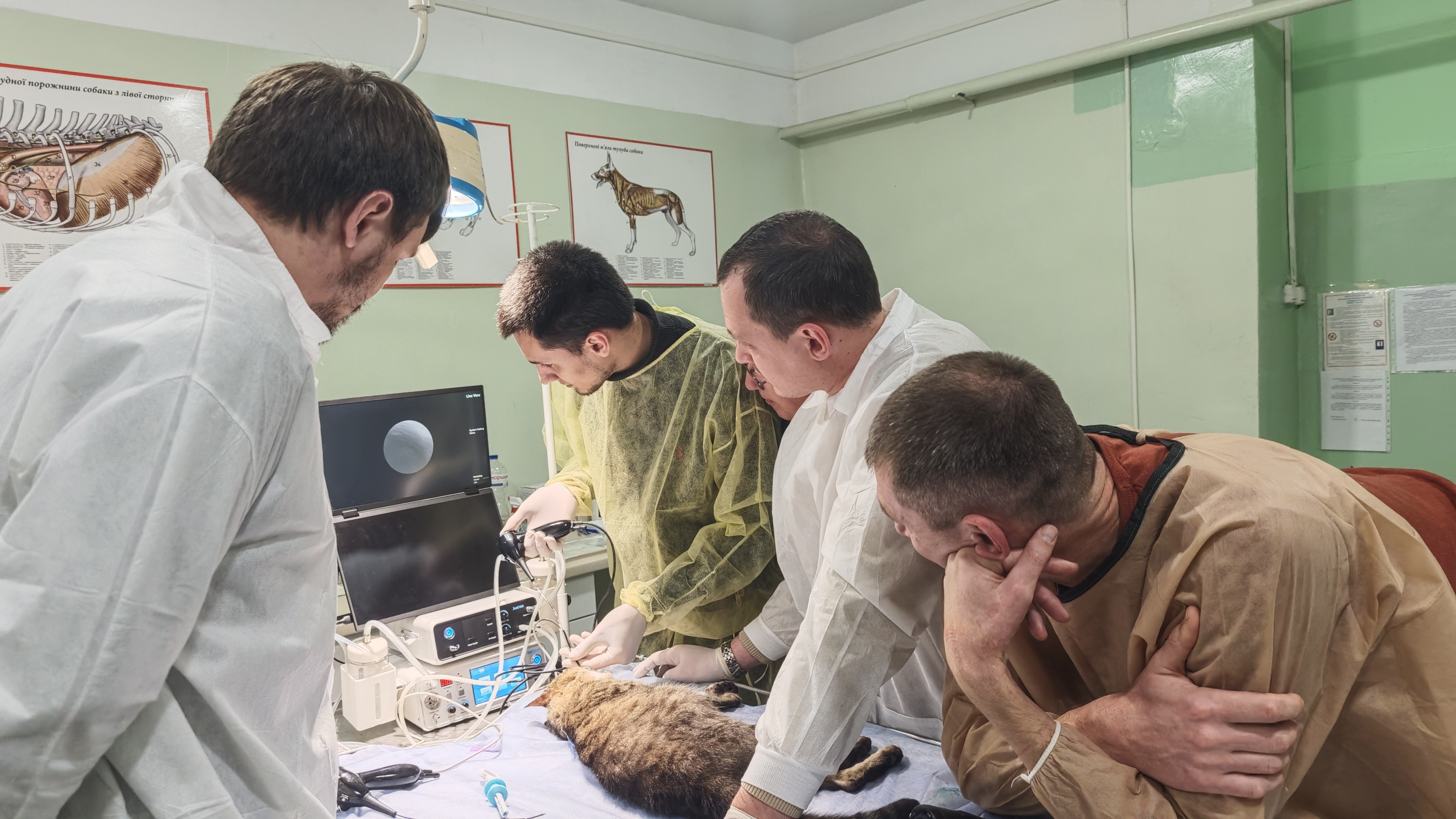 jeetvet Veterinary Endoscope