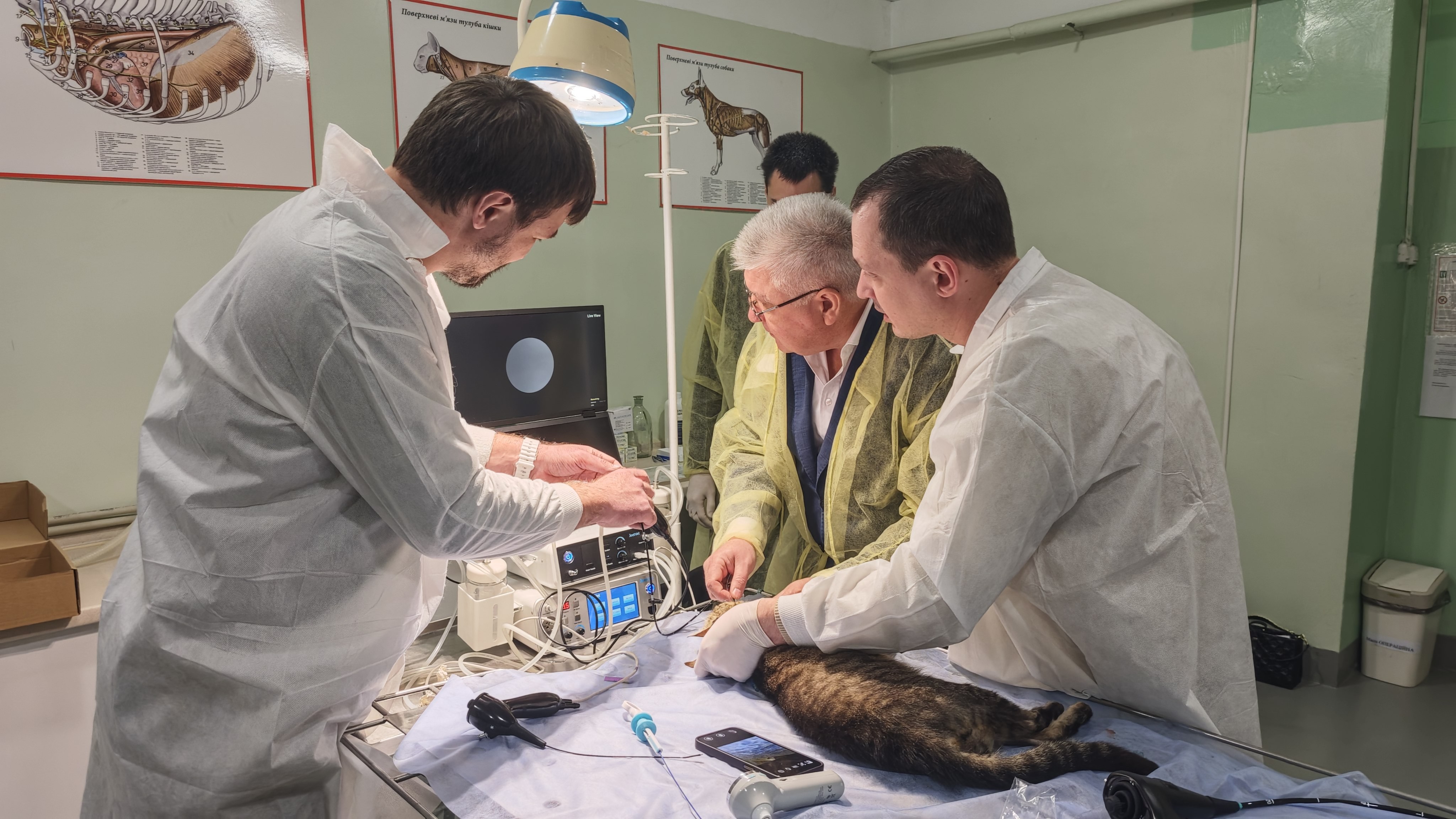 jeetvet Veterinary Endoscope