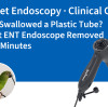 JeetVet Endoscopy · Clinical Case | Parrot Swallowed a Plastic Tube? JeetVet ENT Endoscope Removed It in 10 Minutes