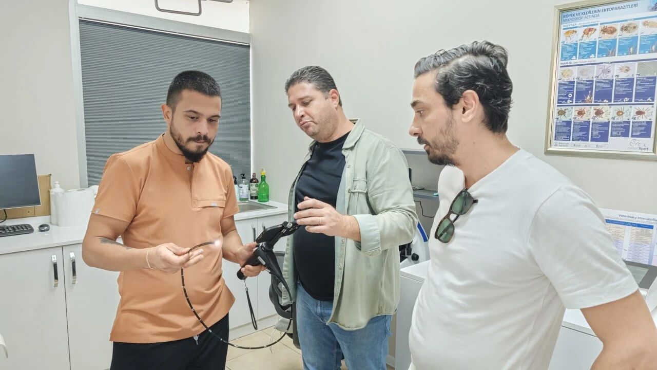 Endoscope vétérinaire