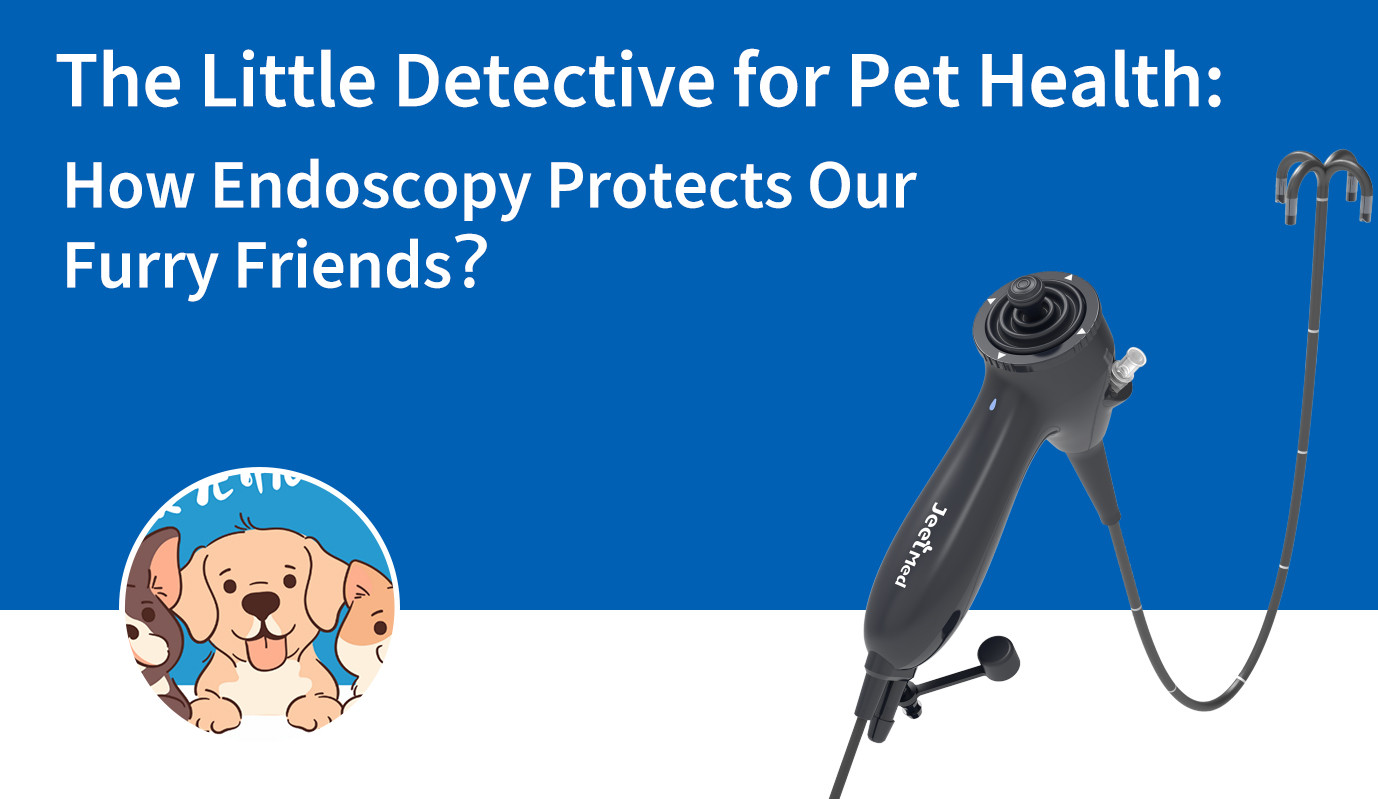The Little Detective for Pet Health: How Endoscopy Protects Our Furry Friends？