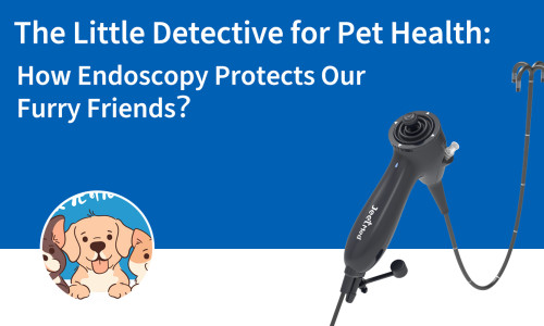 المحقق الصغير لصحة الحيوانات الأليفة: كيف تحمي عملية التنظير الداخلي أصدقائنا من ذوي الفراء؟