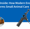 Seeing Inside: How Modern Endoscopy Transforms Small Animal Care