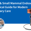 Rabbit & Small Mammal Endoscopy: A Practical Guide for Modern Veterinary Care