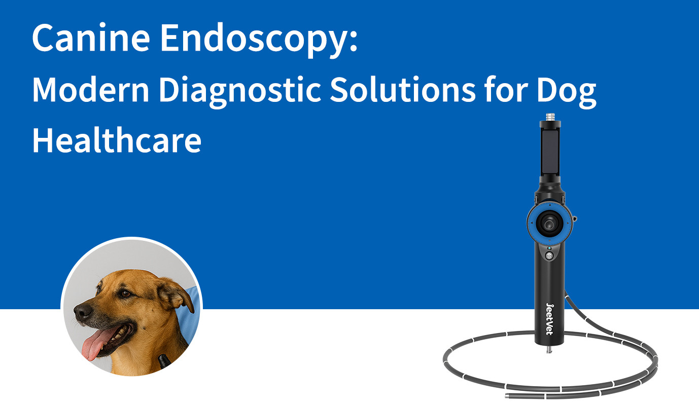 Canine Endoscopy: Modern Diagnostic Solutions for Dog Healthcare