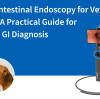 Endoscopie gastro-intestinale en clinique vétérinaire : Guide pratique pour le diagnostic gastro-intestinal moderne