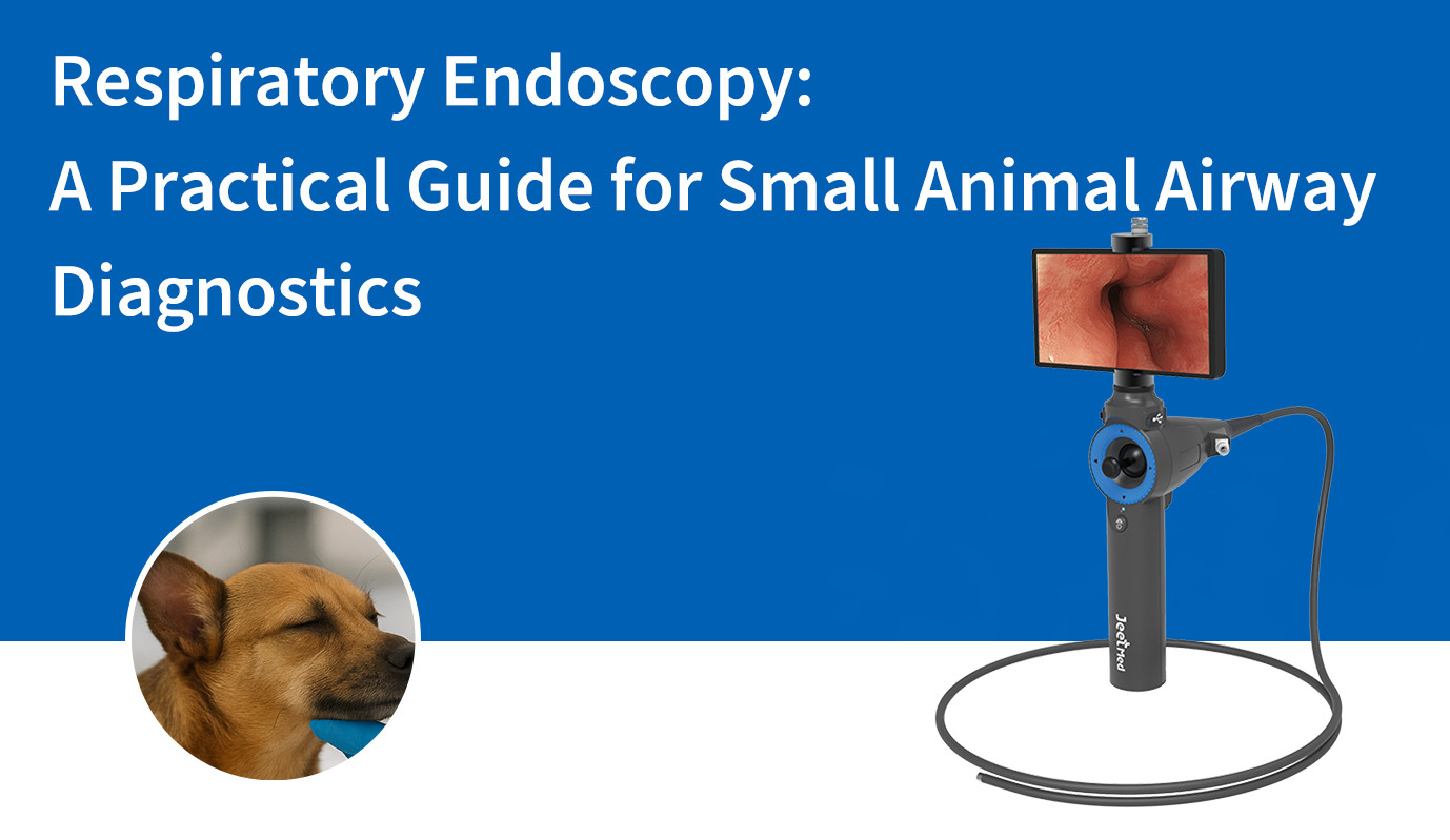 Respiratory Endoscopy: A Practical Guide for Small Animal Airway Diagnostics