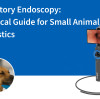 Respiratory Endoscopy: A Practical Guide for Small Animal Airway Diagnostics