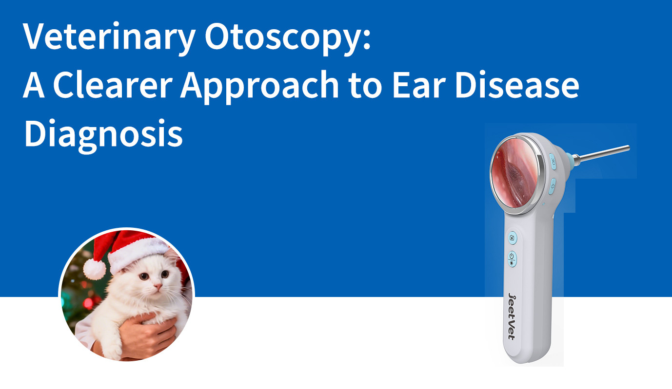 Veterinary Otoscopy: A Clearer Approach to Ear Disease Diagnosis
