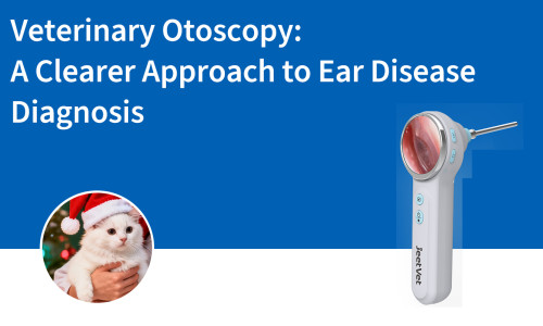 فحص الأذن البيطري: نهج أوضح لتشخيص أمراض الأذن
