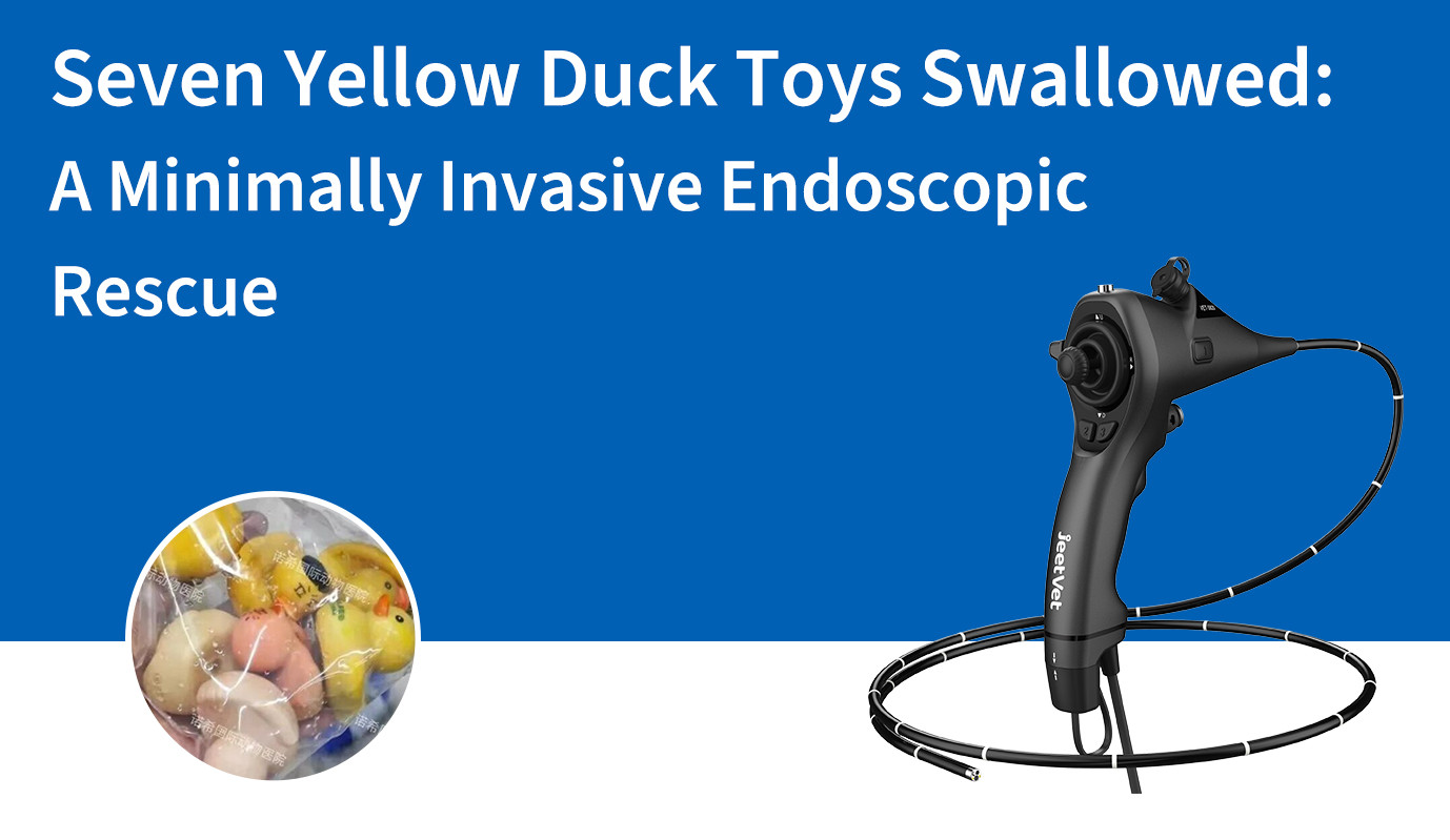 Seven Yellow Duck Toys Swallowed: A Minimally Invasive Endoscopic Rescue