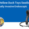 Seven Yellow Duck Toys Swallowed: A Minimally Invasive Endoscopic Rescue