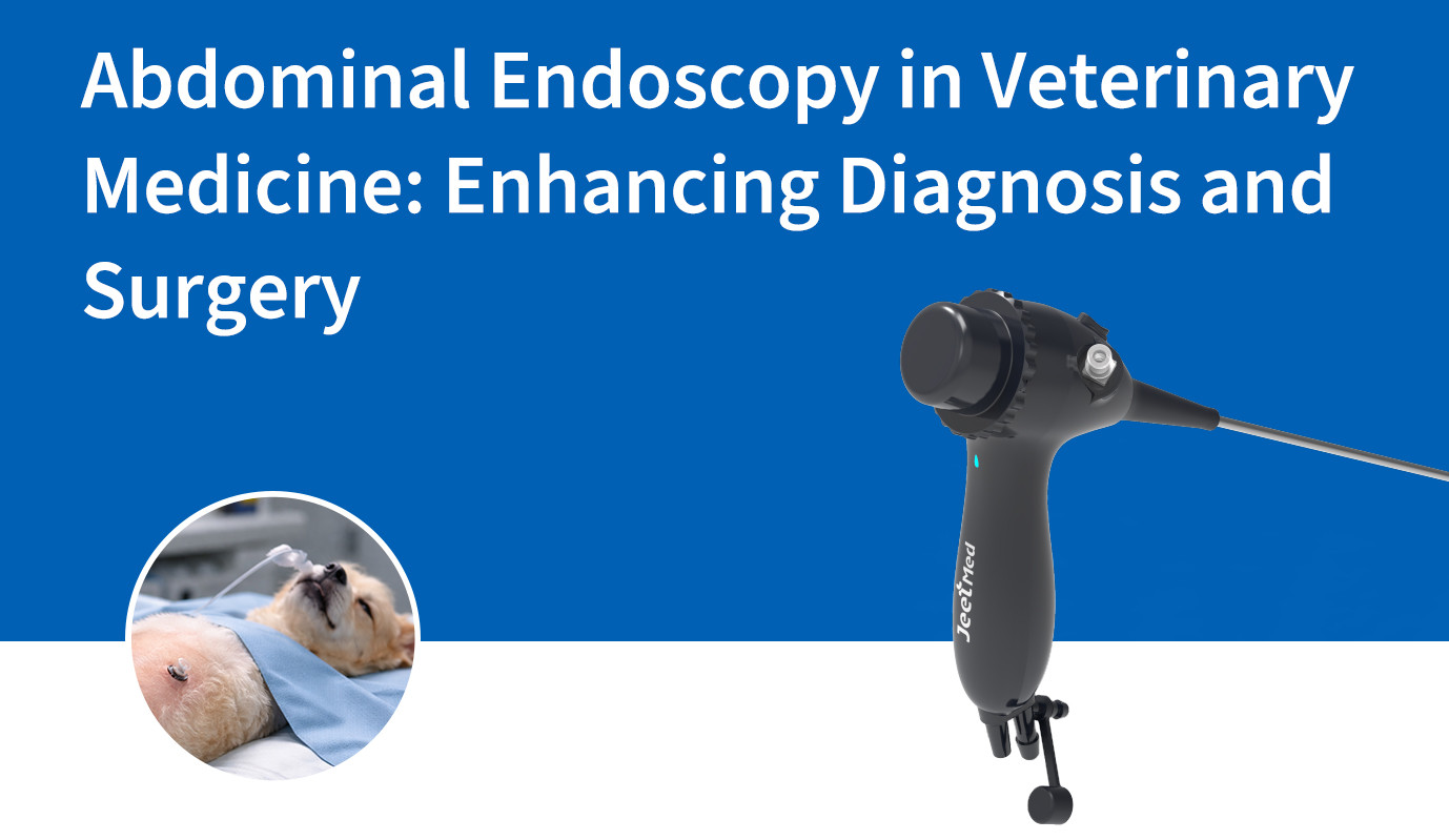 Abdominal Endoscopy in Veterinary Medicine: Enhancing Diagnosis and Surgery