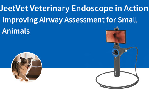 منظار جيت فيت البيطري قيد الاستخدام: تحسين تقييم مجرى الهواء للحيوانات الصغيرة