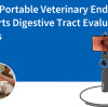 Comment un endoscope vétérinaire portable facilite l'évaluation du tube digestif chez le chien