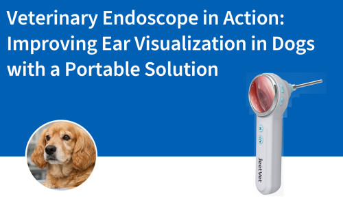 المنظار البيطري قيد الاستخدام: تحسين رؤية الأذن لدى الكلاب باستخدام حل محمول