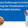 Veterinary Endoscope in Action: Improving Ear Visualization in Dogs with a Portable Solution