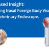 Case-Based Insight: Supporting Nasal Foreign Body Visualization with a JeetVet Veterinary Endoscope.