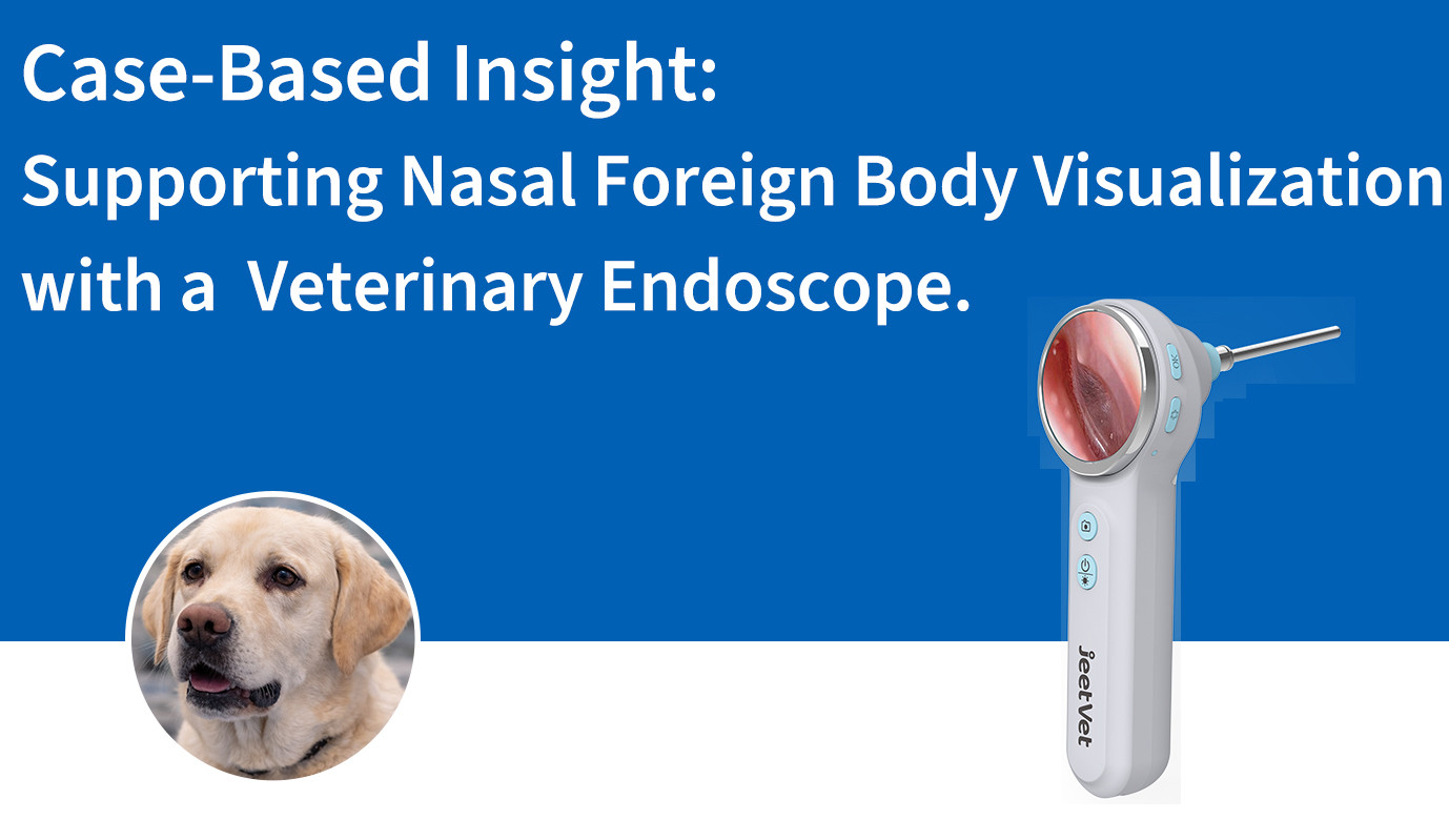 Case-Based Insight: Supporting Nasal Foreign Body Visualization with a JeetVet Veterinary Endoscope.