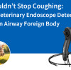 He Wouldn’t Stop Coughing: How a Veterinary Endoscope Detected a Hidden Airway Foreign Body