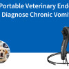 How a Portable Veterinary Endoscope Helped Diagnose Chronic Vomiting in Dogs