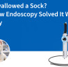 Dog Swallowed a Sock? See How Endoscopy Solved It Without Surgery