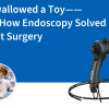 Dog Swallowed a Toy—Here’s How Endoscopy Solved It Without Surgery