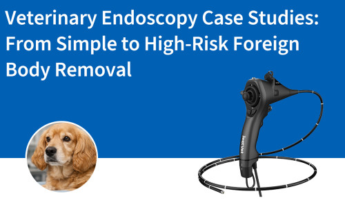 دراسات حالات التنظير البيطري: من إزالة الأجسام الغريبة البسيطة إلى عالية الخطورة