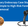 Veterinary Endoscopy Case Studies: From Simple to High-Risk Foreign Body Removal