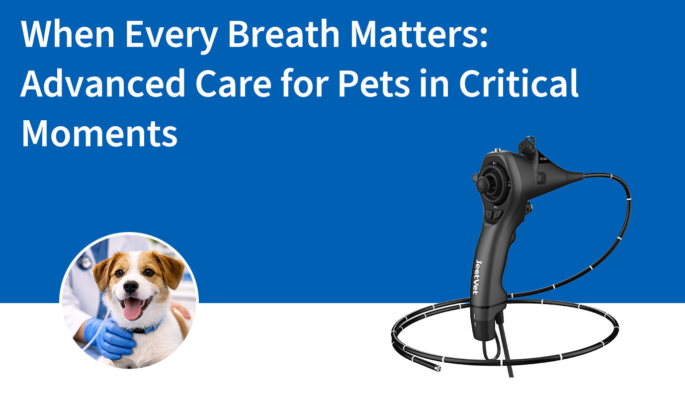 When Every Breath Matters: Advanced Care for Pets in Critical Moments
