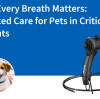 When Every Breath Matters: Advanced Care for Pets in Critical Moments