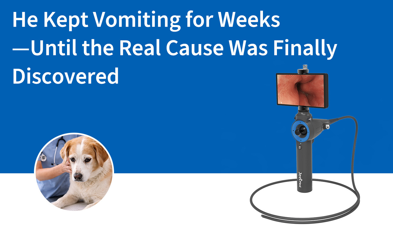 He Kept Vomiting for Weeks—Until the Real Cause Was Finally Discovered