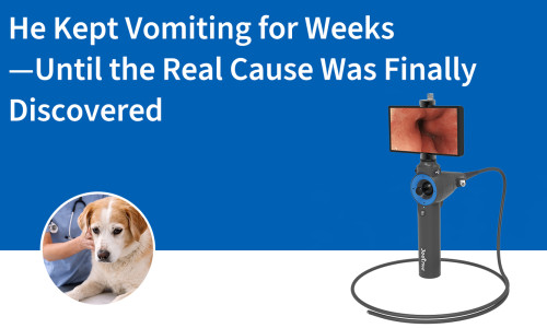 ظل يتقيأ لأسابيع - حتى تم اكتشاف السبب الحقيقي في النهاية.