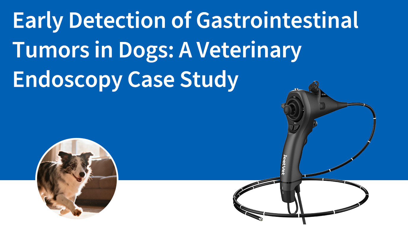 الكشف المبكر عن أورام الجهاز الهضمي لدى الكلاب: دراسة حالة تنظيرية بيطرية