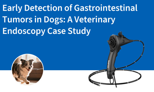 الكشف المبكر عن أورام الجهاز الهضمي لدى الكلاب: دراسة حالة تنظيرية بيطرية