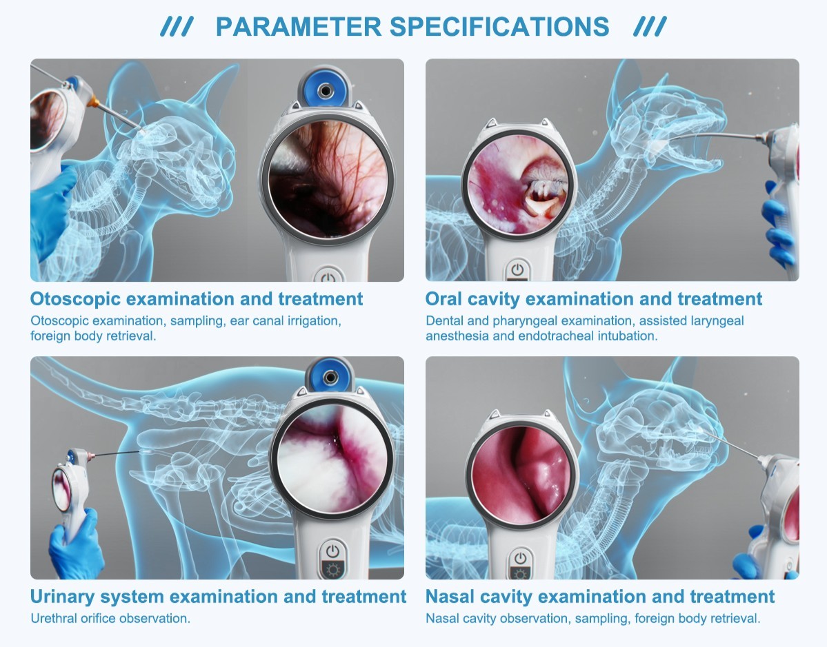 Application of veterinary Otoscope
