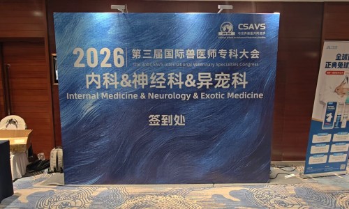 Une avancée majeure en matière de précision : visualiser les angles morts du diagnostic ! JeetVet sera présent à la 3e conférence internationale des spécialistes vétérinaires de la CSAVS en 2026.