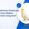What Is a Veterinary Endoscope and Why Is Every Modern Veterinary Clinic Using One?