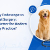 Endoscope vétérinaire ou chirurgie traditionnelle : quelle est la meilleure option pour la pratique vétérinaire moderne ?