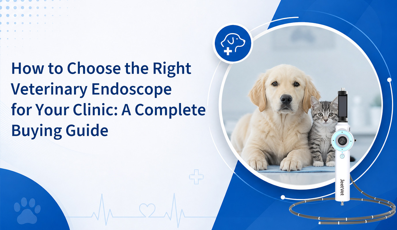 How to Choose the Right Veterinary Endoscope for Your Clinic: A Complete Buying Guide