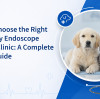 Cómo elegir el endoscopio veterinario adecuado para su clínica: una guía de compra completa.