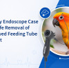 Veterinary Endoscope Case Study: Safe Removal of a Swallowed Feeding Tube in a Parrot