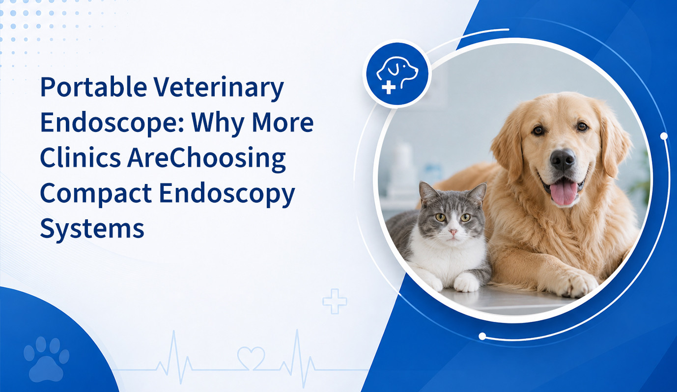 Endoscope vétérinaire portable : pourquoi de plus en plus de cliniques optent pour des systèmes d’endoscopie compacts