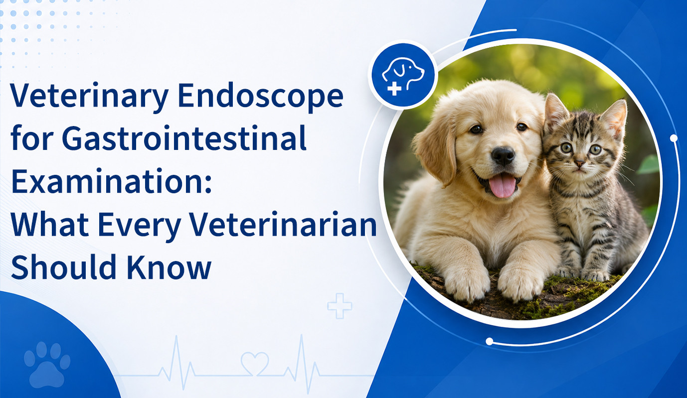 Veterinary Endoscope for Gastrointestinal Examination: What Every Veterinarian Should Know