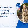 How to Choose the Right Veterinary Endoscope Insertion Tube Diameter