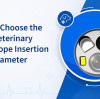 How to Choose the Right Veterinary Endoscope Insertion Tube Diameter