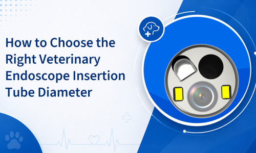 How to Choose the Right Veterinary Endoscope Insertion Tube Diameter