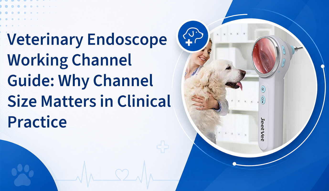 Veterinary Endoscope Working Channel Guide: Why Channel Size Matters in Clinical Practice
