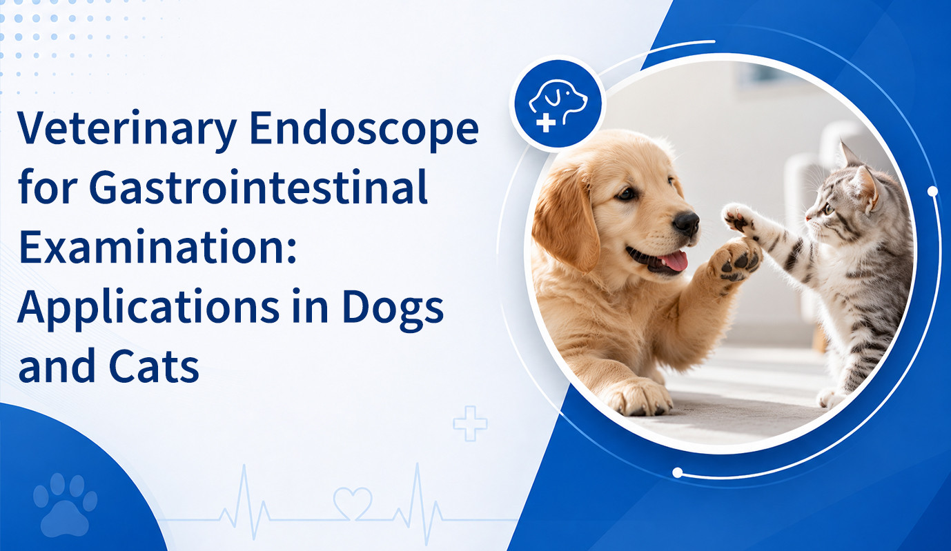 Veterinary Endoscope for Gastrointestinal Examination: Applications in Dogs and Cats